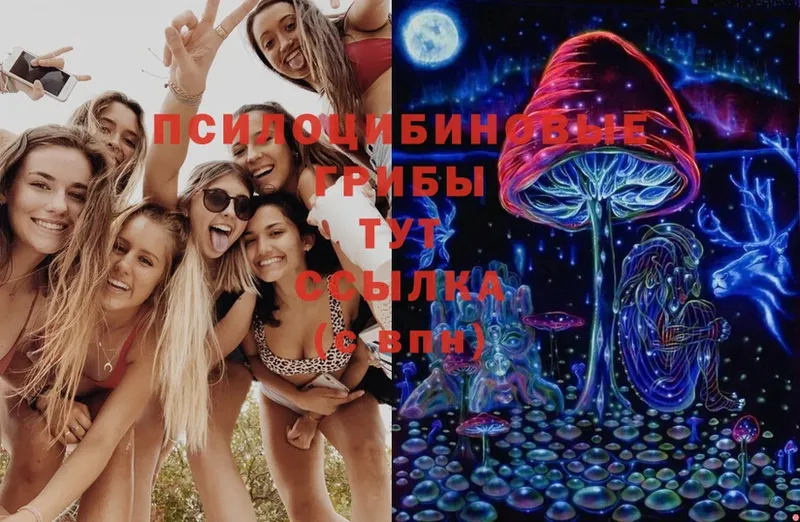 Псилоцибиновые грибы Magic Shrooms  наркота  Городец 